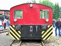Koe 