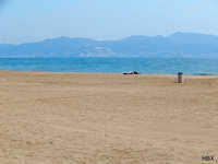 Weiter Strand