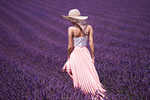 (kleines Bild)